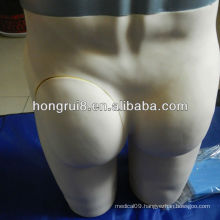 ISO Advanced Buttocks Injection Model, Buttocks Intramuscular Injection Training simulator